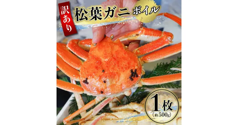 【ふるさと納税】【先行予約】（訳あり）松葉ガニ（ボイル） 1枚（約500g）【年内配送】※着日指定不可※北海道、沖縄、一部離島への配送不可《ずわいがに　かに　カニ　蟹》 | 蟹 魚介類 水産 食品 人気 おすすめ 送料無料