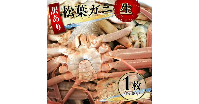 【ふるさと納税】【先行予約】（訳あり）松葉ガニ（生なま） 1枚（約500g）【年内配送】※着日指定不可※北海道、沖縄、一部離島への配送不可《ずわいがに　かに　カニ　蟹》 | 蟹 魚介類 水産 食品 人気 おすすめ 送料無料