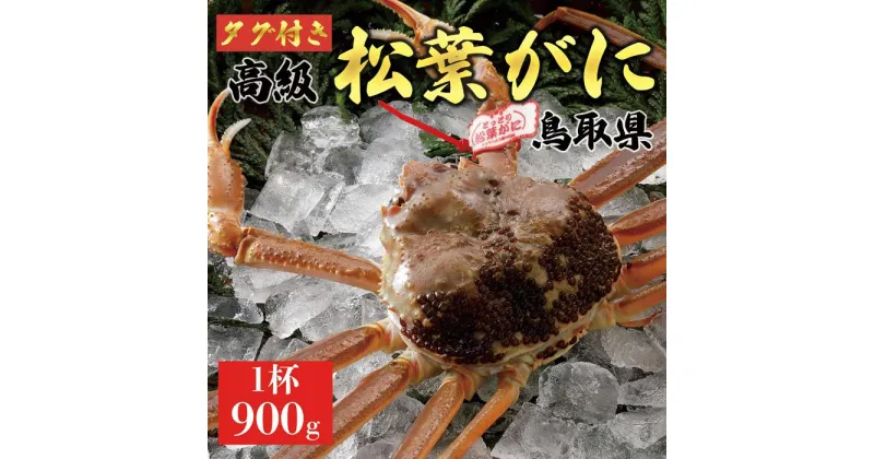 【ふるさと納税】【2024年内発送】特撰　松葉がに（なま）【ブランドタグ付き】900g超の大きいサイズ　食べ応えあり　特大1杯 | 蟹 魚介類 水産 食品 人気 おすすめ 送料無料