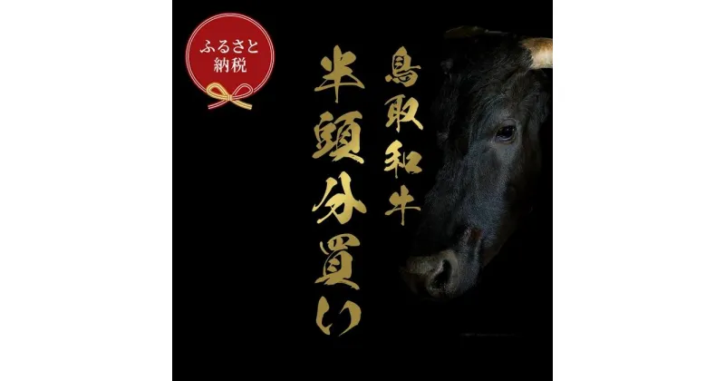 【ふるさと納税】【和牛セレブ】鳥取和牛半頭分（一括配送） | 肉 お肉 にく 食品 鳥取県産 人気 おすすめ 送料無料 ギフト