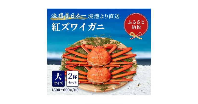 【ふるさと納税】【蟹セレブ】ズワイガニ（紅ズワイガニ）大2杯セット（500～600g×2） | 蟹 魚介類 水産 食品 人気 おすすめ 送料無料