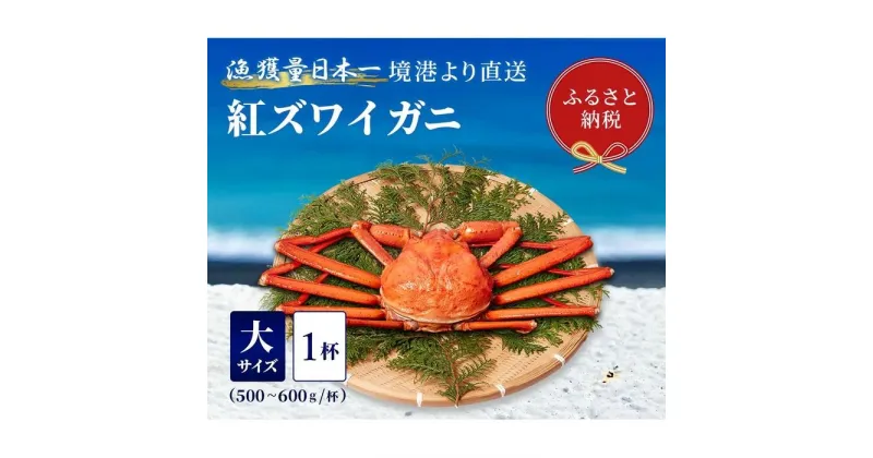 【ふるさと納税】【蟹セレブ】ズワイガニ（紅ズワイガニ）大1杯（500～600g×1） | 蟹 魚介類 水産 食品 人気 おすすめ 送料無料