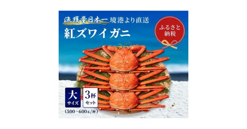 【ふるさと納税】【蟹セレブ】ズワイガニ（紅ズワイガニ）大3杯セット（500～600g×3） | 蟹 魚介類 水産 食品 人気 おすすめ 送料無料