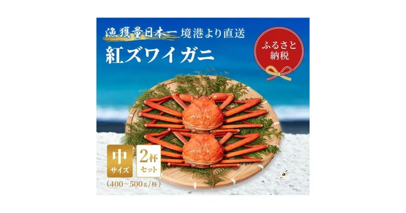 【ふるさと納税】【蟹セレブ】ズワイガニ（紅ズワイガニ）中2杯セット（400～500g×2） | 蟹 魚介類 水産 食品 人気 おすすめ 送料無料