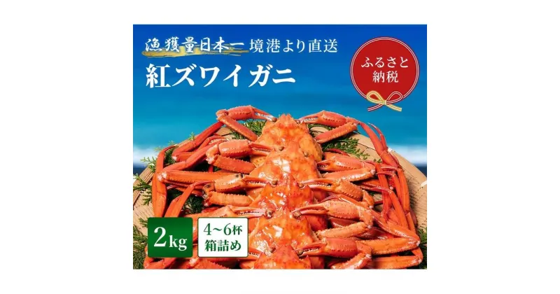 【ふるさと納税】【蟹セレブ】ズワイガニ（紅ズワイガニ）2kg箱詰め（4～6杯） | 蟹 魚介類 水産 食品 人気 おすすめ 送料無料