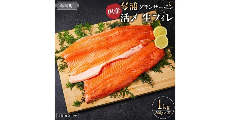 【ふるさと納税】＼国産 サーモン／ 琴浦 グランサーモン 約1kg ( 500g × 2p ) | フィレ 養殖サーモン 生サーモン 魚 海鮮 魚介 ふるさと納税 鮭 サケ 鮮度抜群 人気 おすすめ 鳥取 グルメ 真空パック 冷蔵 ふるさと サーモン