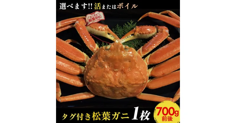 【ふるさと納税】【選べます！活またはボイル】タグ付き松葉ガニ　中1枚（700g前後）《かに カニ 蟹 ズワイガニ 》◇【着日指定不可】※2024年11月上旬～2025年3月下旬頃に順次発送予定