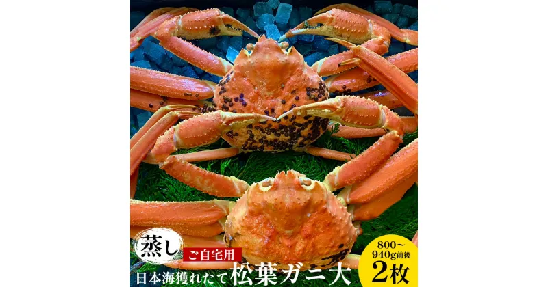 【ふるさと納税】【先行予約】【蒸し】ご自宅用日本海獲れたて松葉ガニ 大　800〜940g前後　2枚◇《かに カニ 蟹 ズワイガニ》※2024年11月上旬～2025年3月上旬頃に順次発送予定