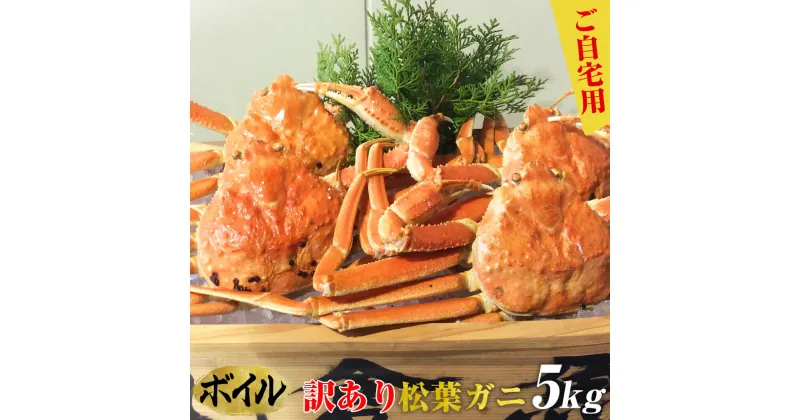 【ふるさと納税】ご自宅用お任せボイル松葉ガニ　大満足の5kgセット《かに カニ 蟹 ズワイガニ》【着日指定不可】※2024年11月上旬～2025年3月下旬頃に順次発送予定