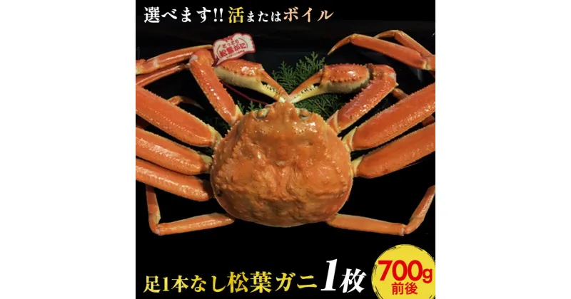 【ふるさと納税】【選べます！活またはボイル】足1本なし松葉ガニ　中1枚（700g前後）《かに カニ 蟹 ズワイガニ 》【着日指定不可】※2024年11月上旬～2025年3月下旬頃に順次発送予定