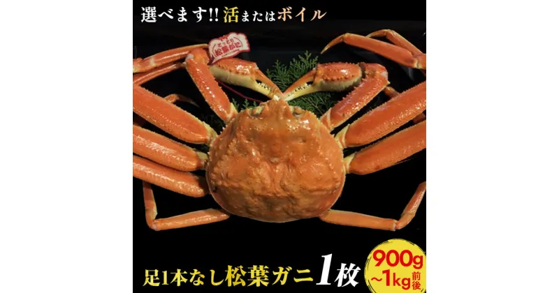 【ふるさと納税】【選べます！活またはボイル】足1本なし松葉ガニ　特大1枚（900g～1kg前後）《かに カニ 蟹 ズワイガニ 》【着日指定不可】※2024年11月上旬～2025年3月下旬に順次発送予定