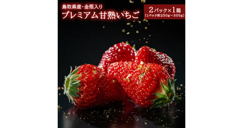 【ふるさと納税】プレミアム甘熟いちご　※2024年12月下旬頃～2025年3月下旬頃に順次発送予定