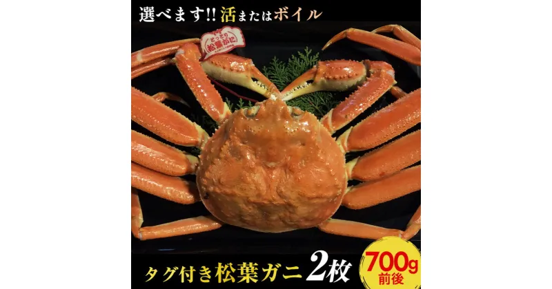 【ふるさと納税】【選べます！活またはボイル】タグ付き松葉ガニ　2枚《かに カニ 蟹 ズワイガニ》※着日指定不可 ※2024年11月上旬～2025年3月下旬頃に順次発送予定