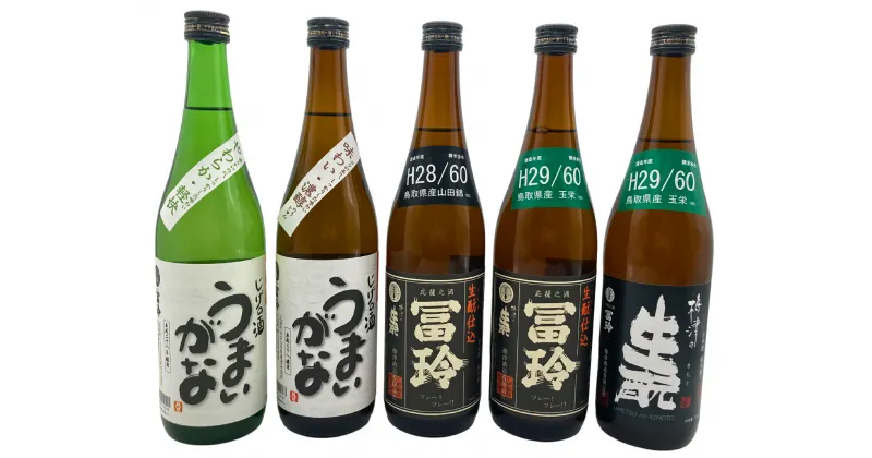 【ふるさと納税】日本酒の飲み比べセット【E】