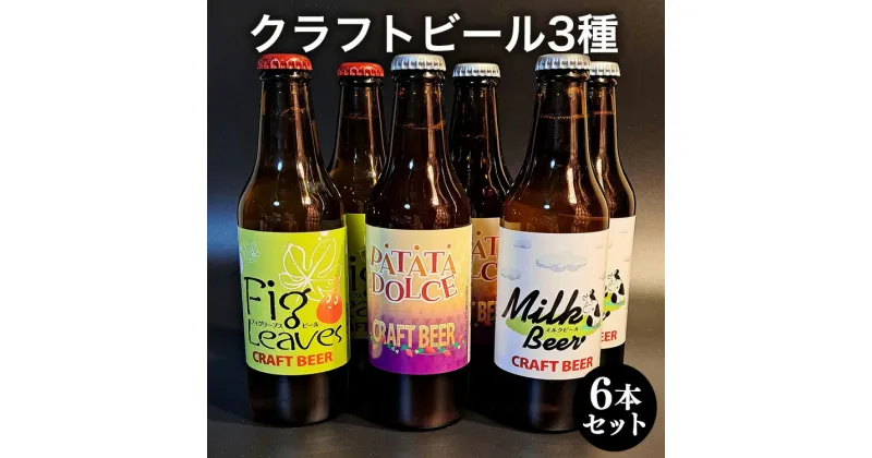 【ふるさと納税】クラフトビール3種6本セット※離島への配送不可