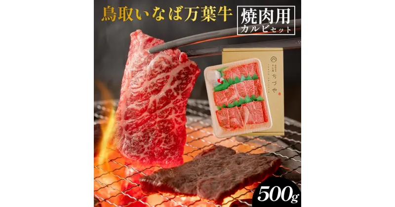 【ふるさと納税】鳥取いなば万葉牛　焼肉用カルビセット500g