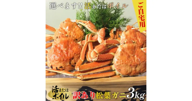 【ふるさと納税】【早期受付】【選べます！活またはボイル】訳あり　松葉ガニおまかせ3kg（5～8枚）《かに カニ 蟹 ズワイガニ》 ※着日指定不可※2024年11月上旬頃から順次発送予定