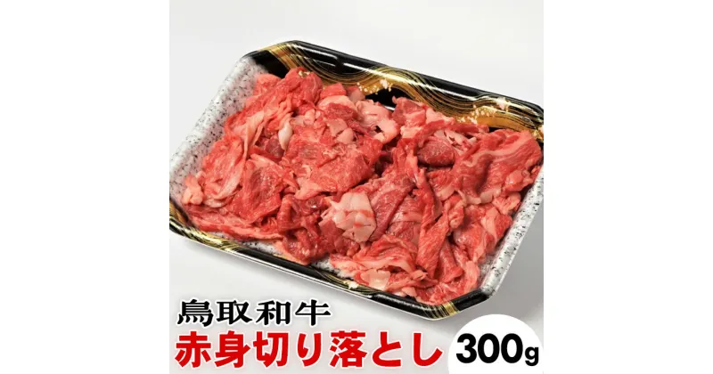 【ふるさと納税】鳥取和牛赤身切り落とし（300g）※着日指定不可※離島への配送不可