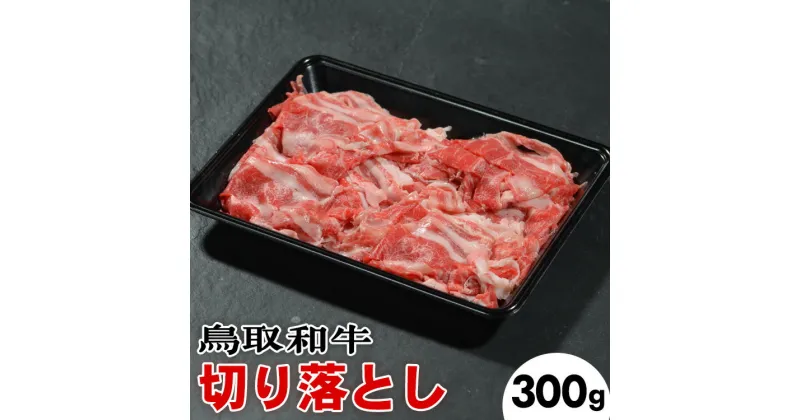 【ふるさと納税】鳥取和牛切り落とし（300g）※着日指定不可※離島への配送不可