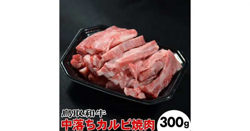 【ふるさと納税】鳥取和牛 中落ちカルビ焼肉（300g）※離島への配送不可