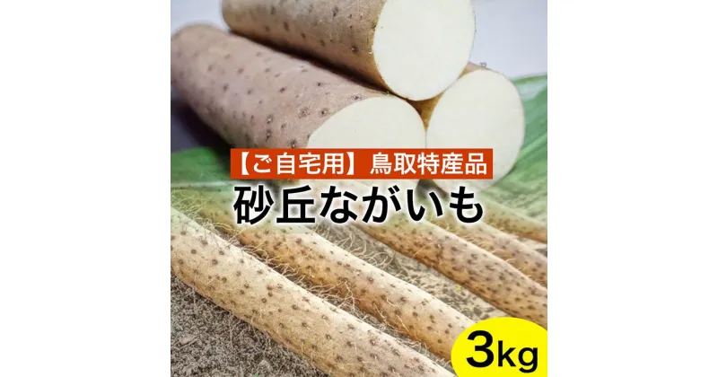 【ふるさと納税】【ご自宅用】鳥取特産品　砂丘ながいも（カット）3kg　※北海道・沖縄・離島への配送不可 ※2024年11月中旬～2025年3月下旬頃に順次発送予定