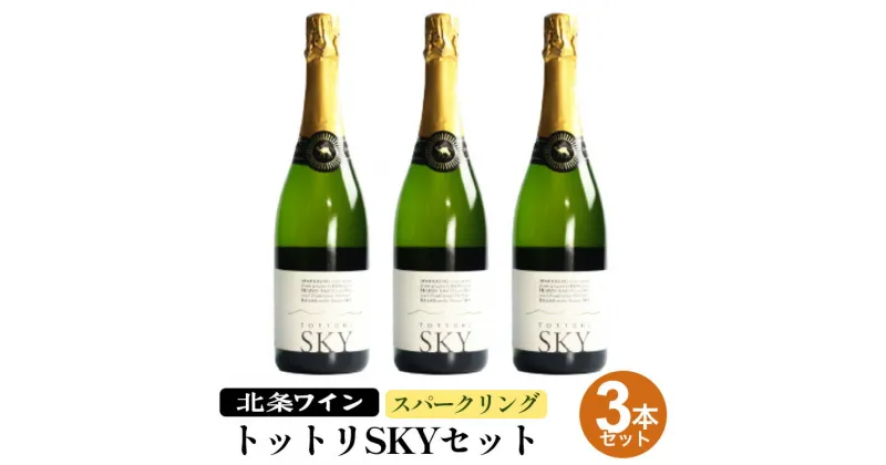 【ふるさと納税】トットリSKY3本セット※着日指定不可