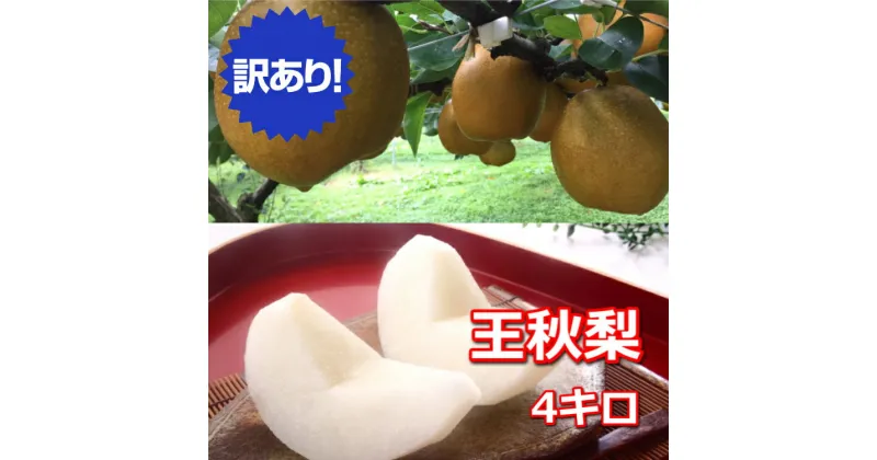 【ふるさと納税】【訳あり】王秋梨 4kg（4～13玉前後）◇※10月下旬頃～12月上旬頃に順次発送 離島不可（北海道、沖縄本島は配送可能）