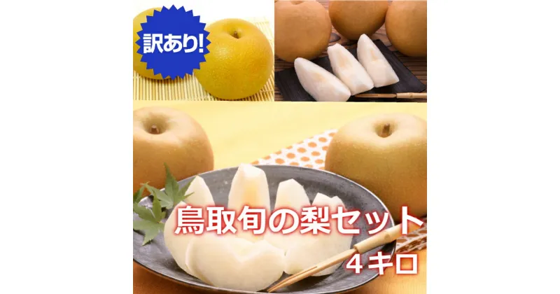 【ふるさと納税】【訳あり】鳥取県産旬の梨セット 4kg◇※8月下旬頃～12月下旬頃に順次発送 離島不可（北海道、沖縄本島は配送可能）