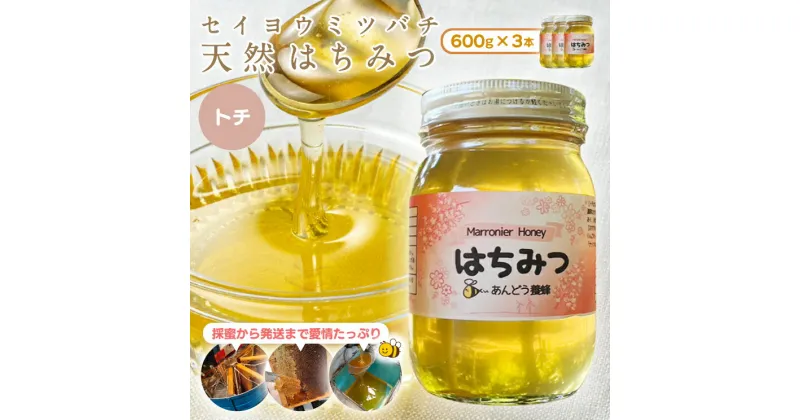 【ふるさと納税】天然はちみつ トチ 600g×3本 蜂蜜 ハチミツ ハチ蜜 鳥取県産◇日本全国配送可能 お申し込みから14日以内に発送