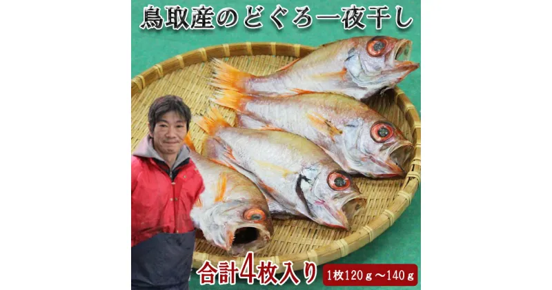 【ふるさと納税】KI04：鳥取県産のどぐろ一夜干し（4枚）