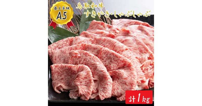 【ふるさと納税】KA03：A5等級！鳥取和牛すきやき・しゃぶしゃぶ食べ比べ（500g×2）