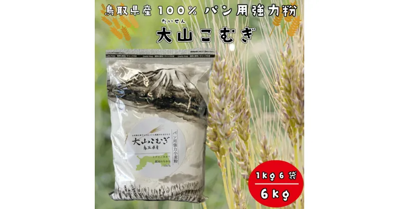 【ふるさと納税】IW01：鳥取県産大山こむぎパン用強力粉　1kg×6袋