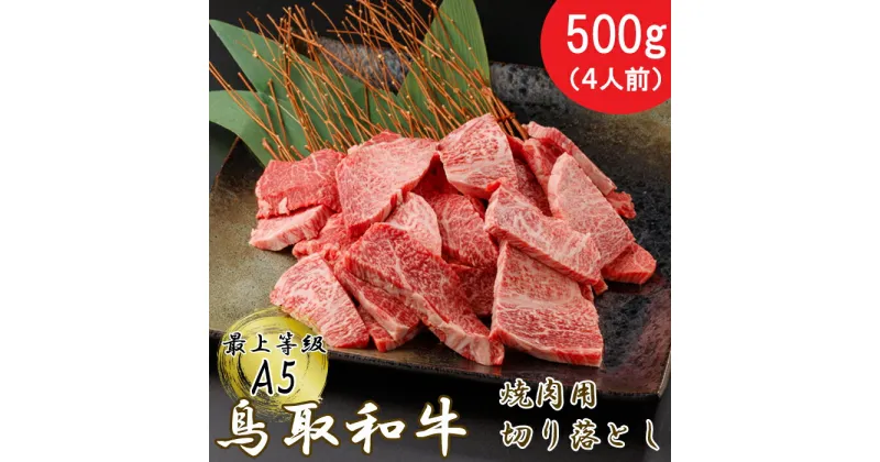 【ふるさと納税】KA07：A5等級！鳥取和牛焼肉用切り落とし500g