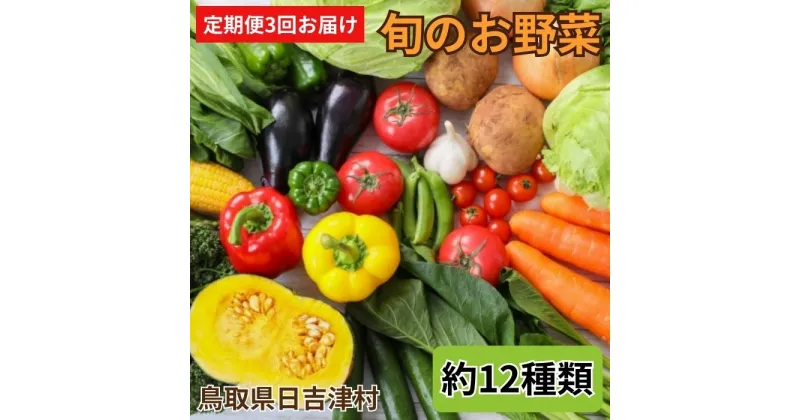 【ふるさと納税】TA01：【3回定期便】ふるさと野菜詰め合わせ