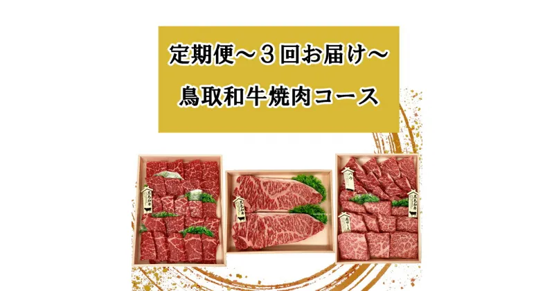 【ふるさと納税】TT01：【3回定期便】鳥取和牛焼肉コース