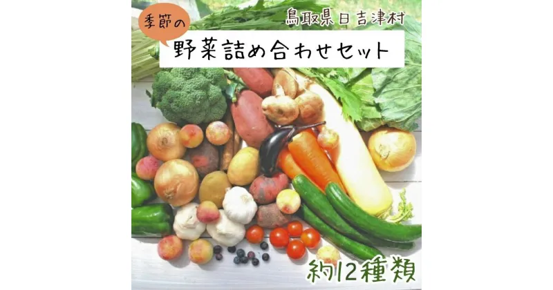 【ふるさと納税】AS01：ふるさと野菜の詰め合わせ