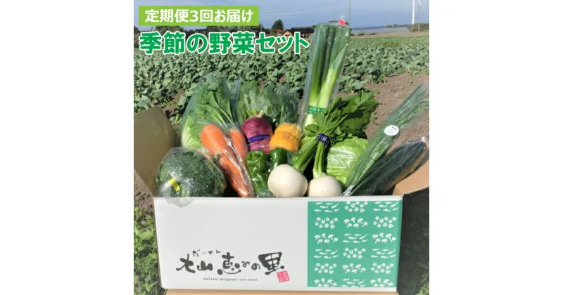 【ふるさと納税】TD01：【3回定期便】季節の野菜セット