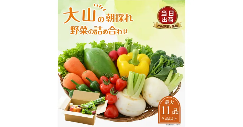 【ふるさと納税】MS-02 新鮮朝採れ野菜セット 野菜詰め合わせ 野菜 生野菜 野菜・果物・加工品 朝どれ野菜 野菜セット 詰め合わせ 10から15種類 新鮮 鳥取県 鳥取県産 大山町 大山 サラダ 常温保存 くだもの やさい 野菜加工品 バラエティセット 料理