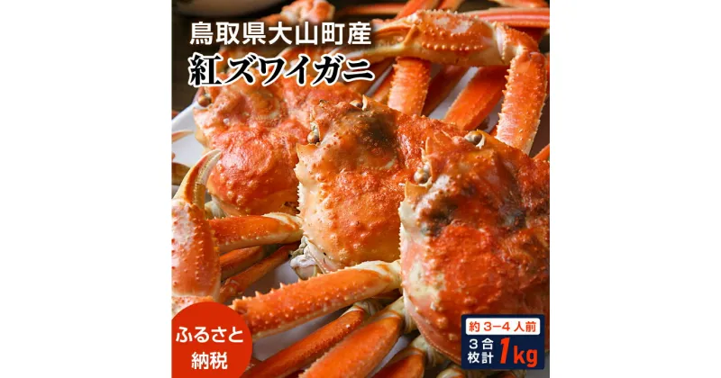 【ふるさと納税】紅ずわいがに3枚（約1kg） 約3－4人前　鳥取県産 紅ガニ ズワイガニ かに ずわいがに　カニ 蟹肉 カニ脚 ずわい蟹肉かにしゃ 蟹 カニしゃぶ 魚介 海鮮 ずわい蟹 送料無料　鳥取県 大山町 【9月以降降発送】OM-10