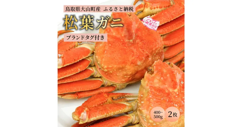 【ふるさと納税】ブランドタグ付ボイル松葉ガニ（400～500gを2枚） 約3－4人前 鳥取県産 高級 松葉ガニ ズワイガニ かに 松葉蟹 ずわいがに　カニ 松葉がに 蟹 魚介 海鮮 送料無料 鳥取県 大山町 【11月中旬以降発送】OM-23