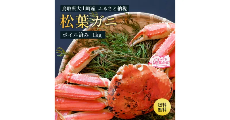 【ふるさと納税】ブランドタグ付ボイル松葉ガニ（特大約1kg） 約3－4人前　鳥取県産 松葉ガニ ズワイガニ かに 松葉蟹 ずわいがに　カニ 松葉がに 蟹 カニしゃぶ 魚介 海鮮 ずわい蟹 送料無料鳥取県 大山町 【11月中旬以降発送】OM-25