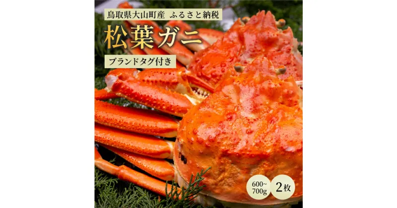 【ふるさと納税】ブランドタグ付ボイル松葉ガニ（600～700gを2枚） 約3－4人前 鳥取県産 高級 松葉ガニ ズワイガニ かに 松葉蟹 ずわいがに　カニ 松葉がに 蟹 魚介 海鮮 送料無料 鳥取県 大山町 【11月中旬以降発送】OM-27