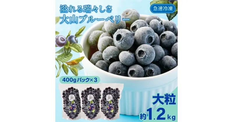 【ふるさと納税】MS-30　冷凍ブルーベリー1.2kg 400gパック×3 美味しい 真空パック 新鮮 シャーベット 鳥取県 鳥取県産 大山町 大山 お土産 返礼品 国産 お取り寄せ ご当地