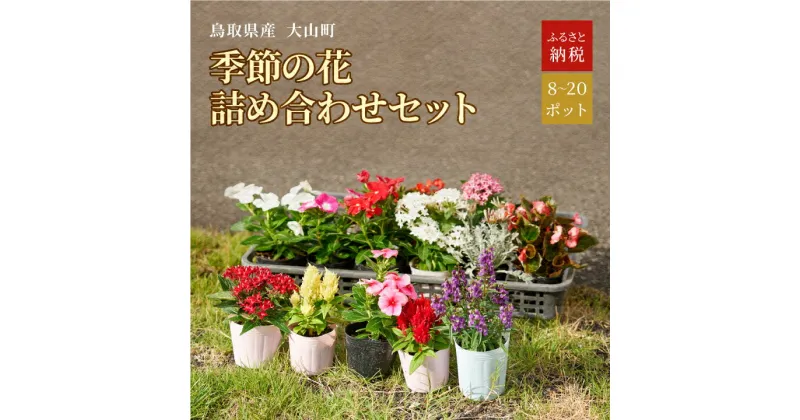 【ふるさと納税】MS-80 季節の花の詰め合わせ セット 詰め合わせ フラワー 花苗 鳥取県 鳥取県産 大山町 大山 パンジー ビオラ