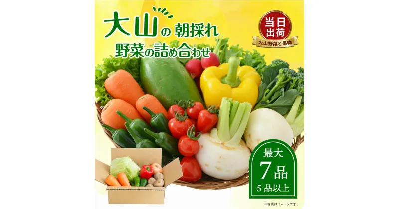 【ふるさと納税】MS-01 新鮮朝採れ野菜　お手ごろセット 野菜詰め合わせ 野菜 生野菜 果物・加工品 朝どれ野菜 野菜セット 詰め合わせ 野菜加工品 バラエティセット 料理 新鮮 鳥取県 鳥取県産 大山町 大山 サラダ 常温保存 くだもの やさい 6種類以上