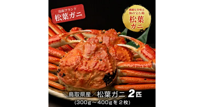 【ふるさと納税】【冷凍】ボイル松葉ガニ（300g～400gを2枚） 約3－4人前　鳥取県産 松葉ガニ ズワイガニ かに 松葉蟹 ずわいがに　カニ 松葉がに 蟹 魚介 海鮮 送料無料 鳥取県 大山町 【11月中旬以降発送】OM-17