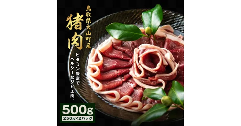 【ふるさと納税】GB-01 猪肉 500g（250g×2パック） 猪肉モモ ウデ スライス ヘルシー 鳥取県 鳥取県産 大山町 大山 お土産 返礼品 焼き肉 焼き肉用 国産 お取り寄せ ご当地