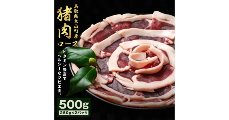 【ふるさと納税】GB-09 猪肉 ロース 500g（250g×2パック）　ジビエ 肉 お肉 鳥取県 鳥取県産 大山町 大山 お土産 返礼品 国産 お取り寄せ ご当地