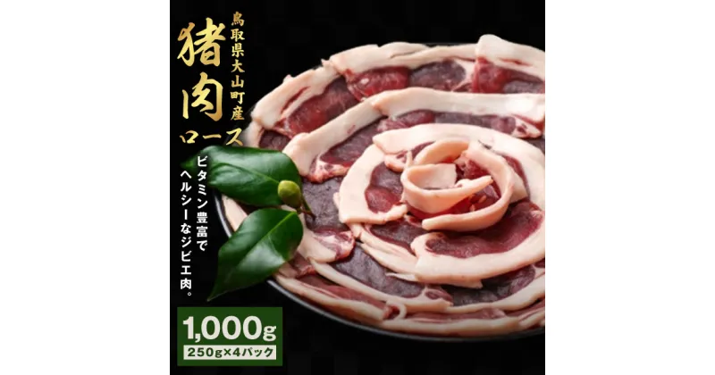 【ふるさと納税】GB-10 猪肉 ロース 1kg（250g×4パック）　ジビエ 肉 お肉 鳥取県 鳥取県産 大山町 大山 お土産 返礼品 国産 お取り寄せ ご当地