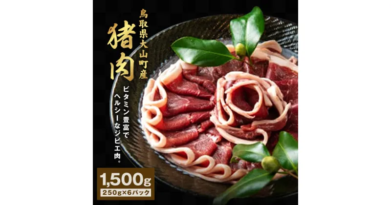 【ふるさと納税】GB-03 猪肉 1.5kg（250g×6パック）　猪肉モモ ウデ スライス 鳥取県 鳥取県産 大山町 大山 お土産 返礼品 国産 お取り寄せ 焼き肉 焼き肉用 ご当地